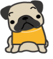 shuwa2015.5_2.png